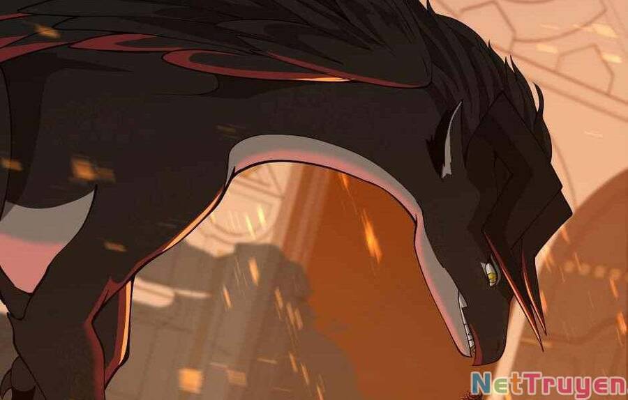 Ánh Sáng Cuối Con Đường - Chương 139