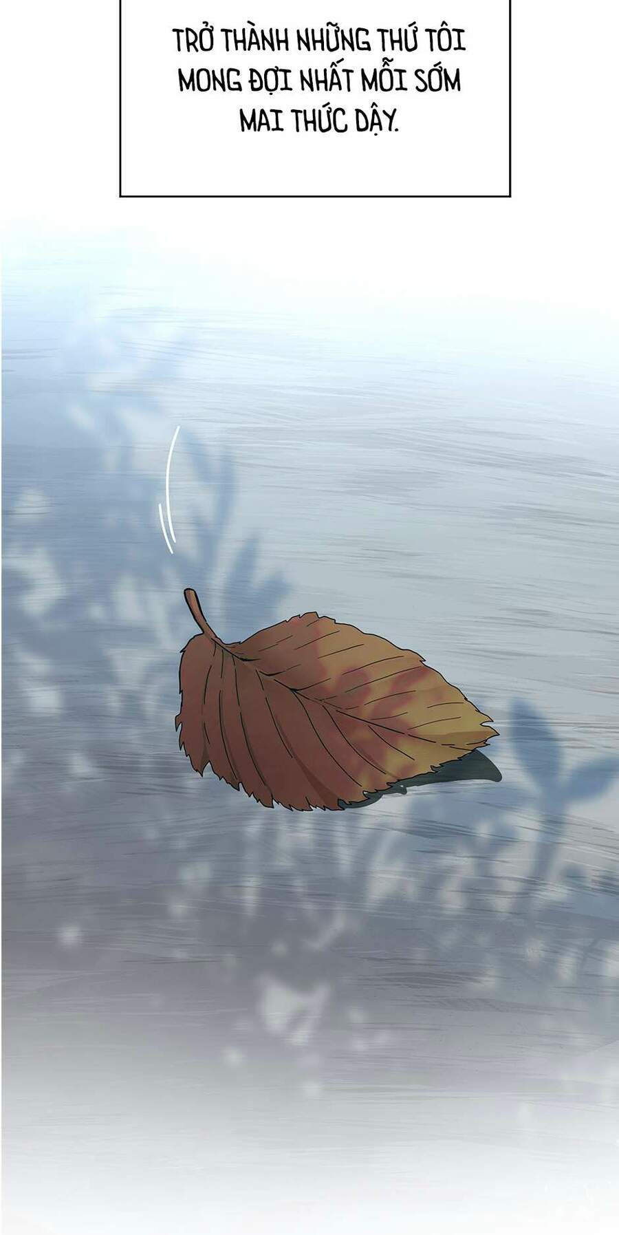 Ánh Sáng Cuối Con Đường - Chương 114