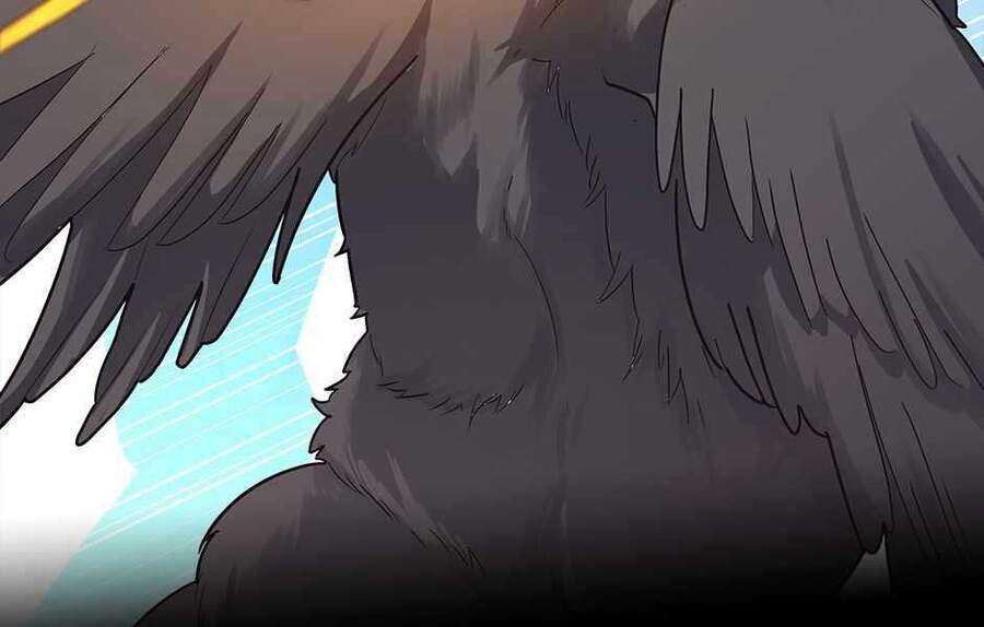 Ánh Sáng Cuối Con Đường - Chương 117.5