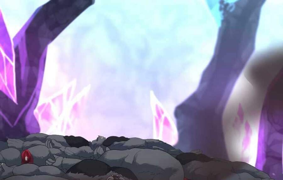 Ánh Sáng Cuối Con Đường - Chương 117.5