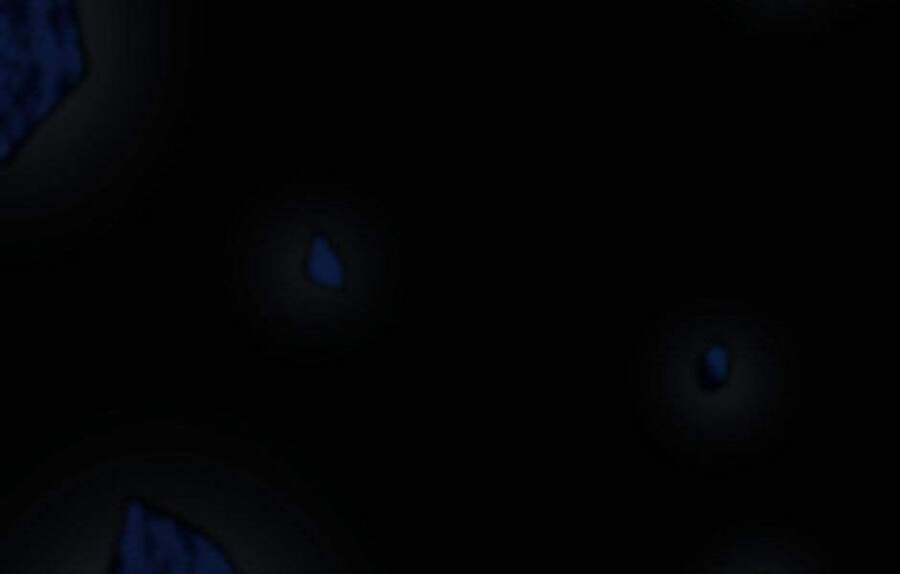 Ánh Sáng Cuối Con Đường - Chương 118