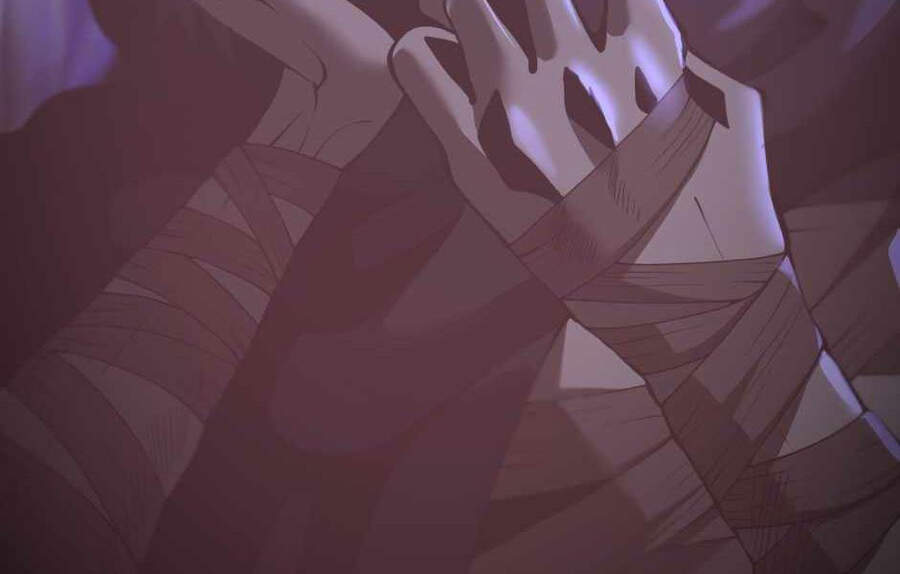 Ánh Sáng Cuối Con Đường - Chương 119.5