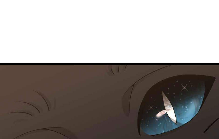 Ánh Sáng Cuối Con Đường - Chương 121