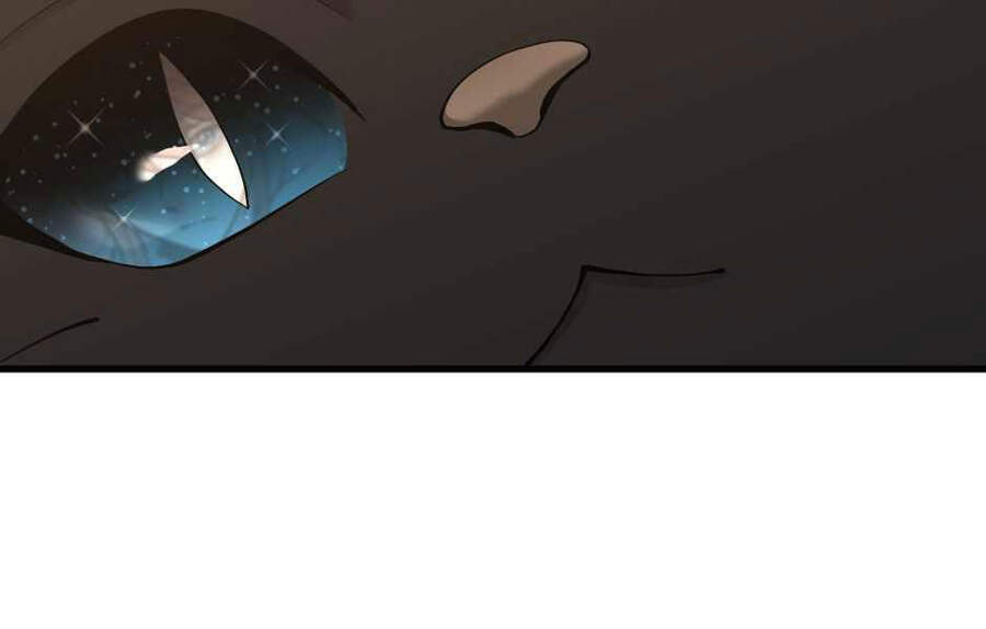 Ánh Sáng Cuối Con Đường - Chương 121