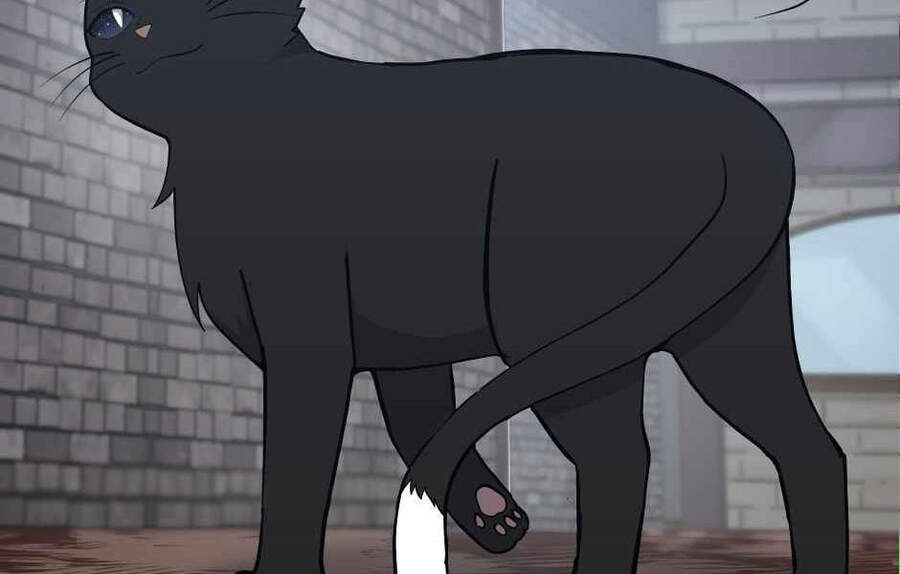 Ánh Sáng Cuối Con Đường - Chương 121