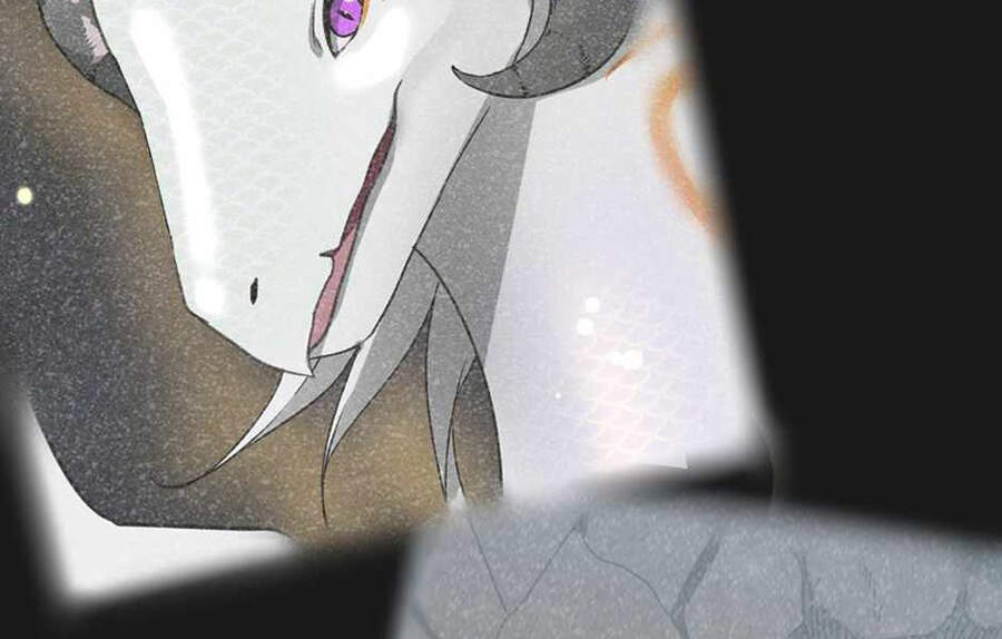 Ánh Sáng Cuối Con Đường - Chương 124