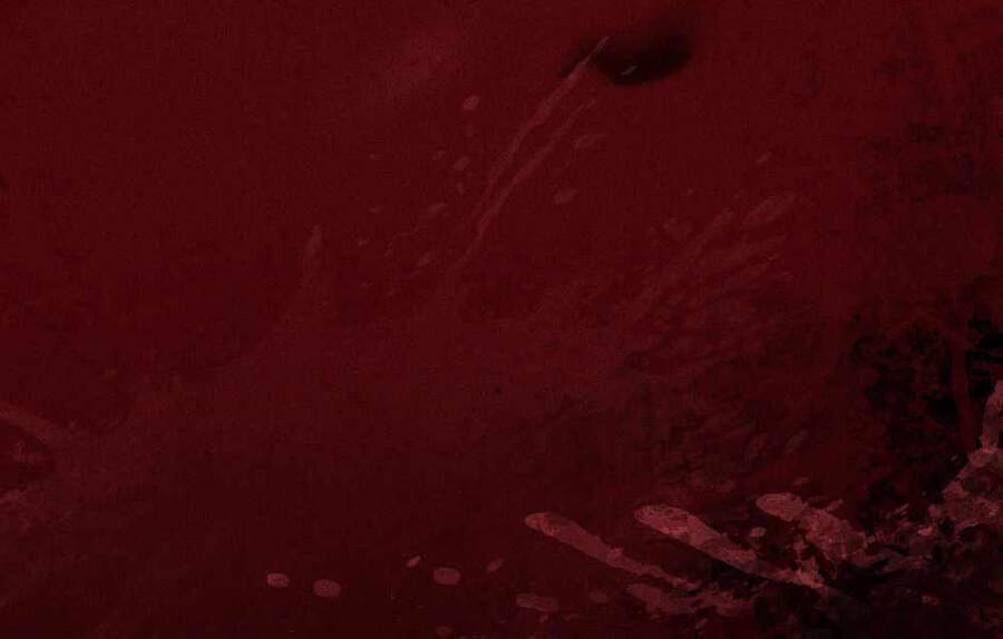 Ánh Sáng Cuối Con Đường - Chương 124