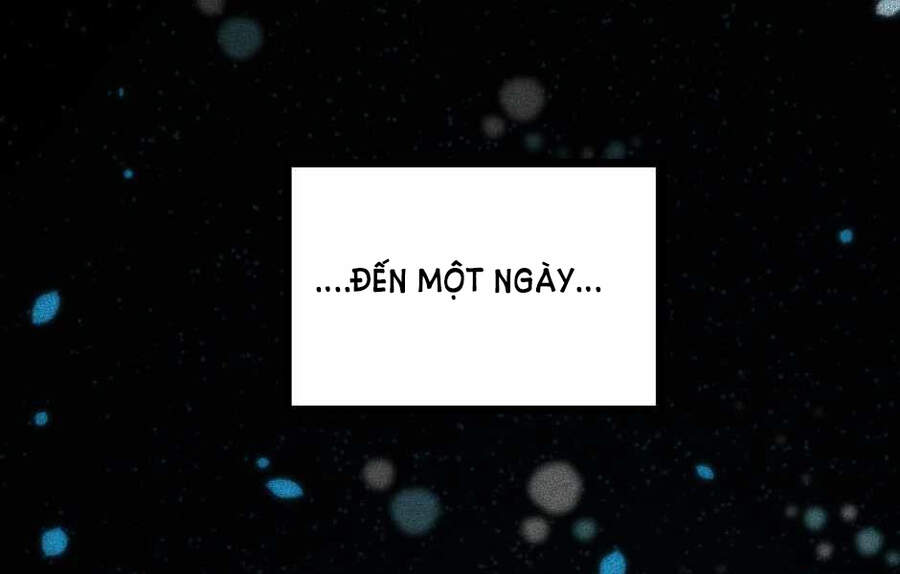 Ánh Sáng Cuối Con Đường - Chương 124