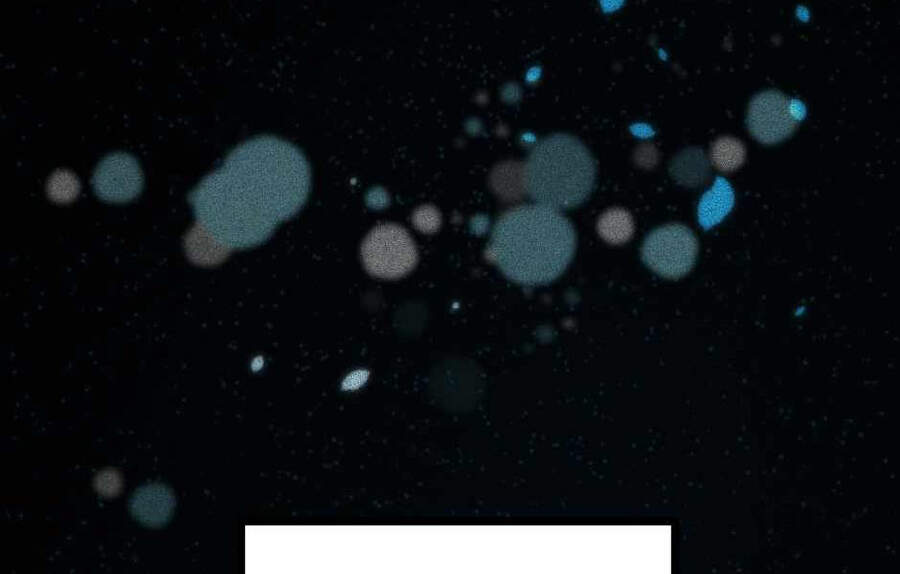 Ánh Sáng Cuối Con Đường - Chương 124