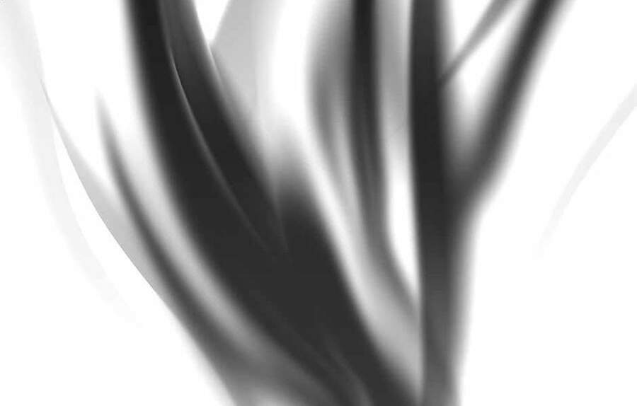 Ánh Sáng Cuối Con Đường - Chương 125