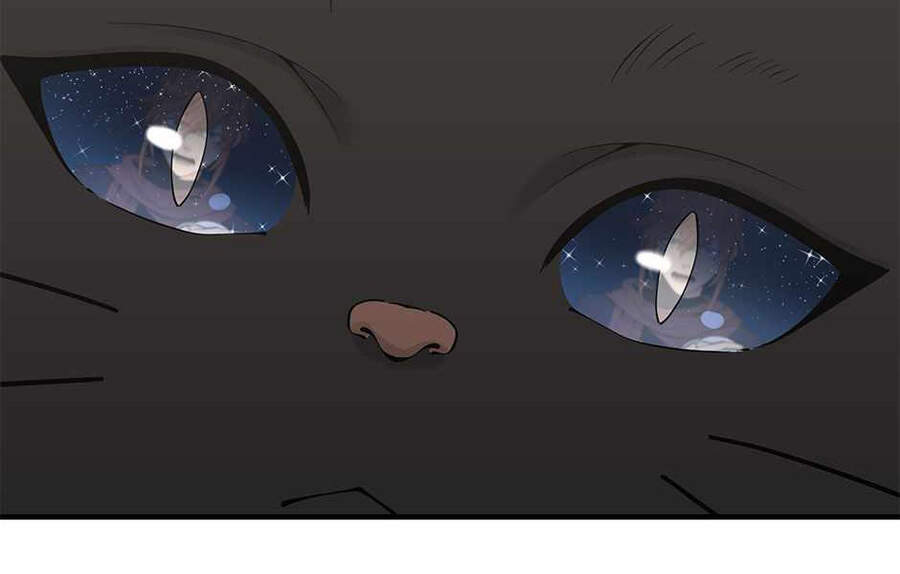 Ánh Sáng Cuối Con Đường - Chương 125