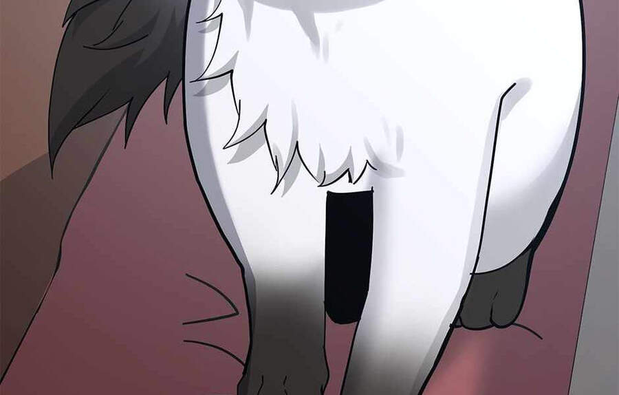 Ánh Sáng Cuối Con Đường - Chương 125