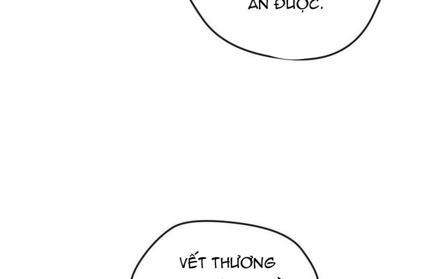 Ánh Sáng Cuối Con Đường - Chương 125