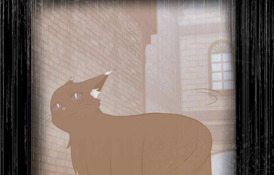 Ánh Sáng Cuối Con Đường - Chương 126