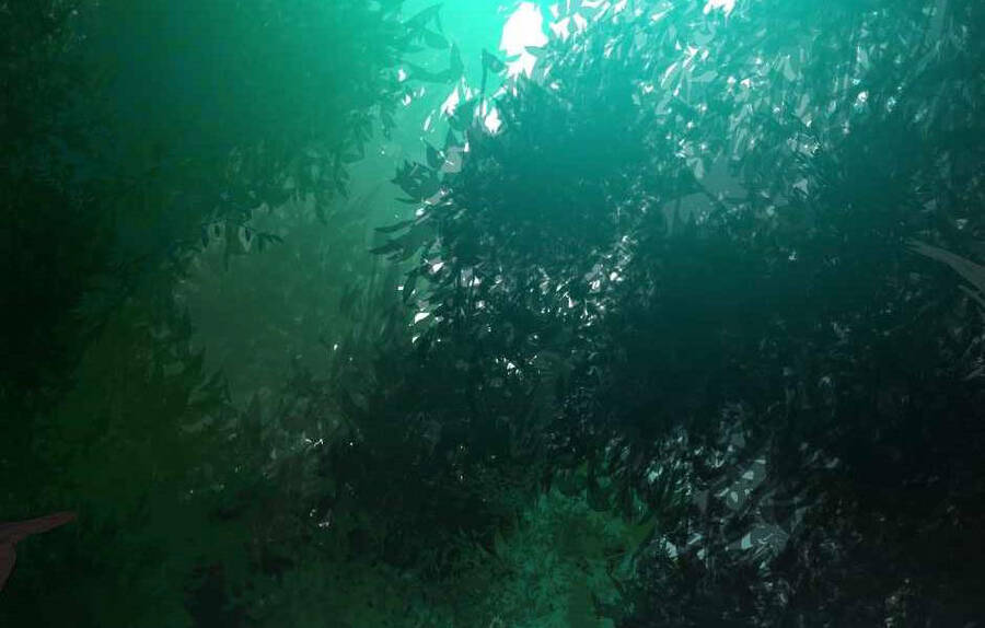 Ánh Sáng Cuối Con Đường - Chương 128