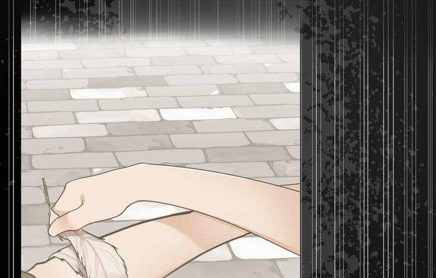 Ánh Sáng Cuối Con Đường - Chương 128