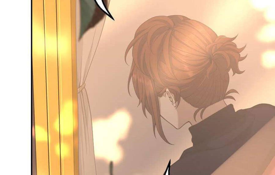 Ánh Sáng Cuối Con Đường - Chương 129