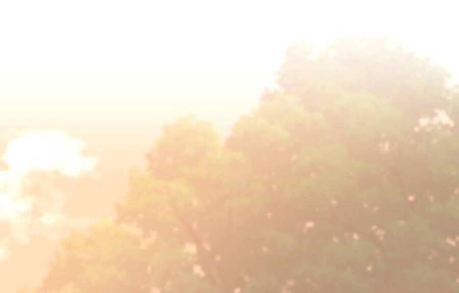 Ánh Sáng Cuối Con Đường - Chương 129