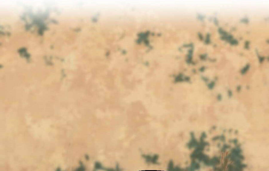 Ánh Sáng Cuối Con Đường - Chương 129