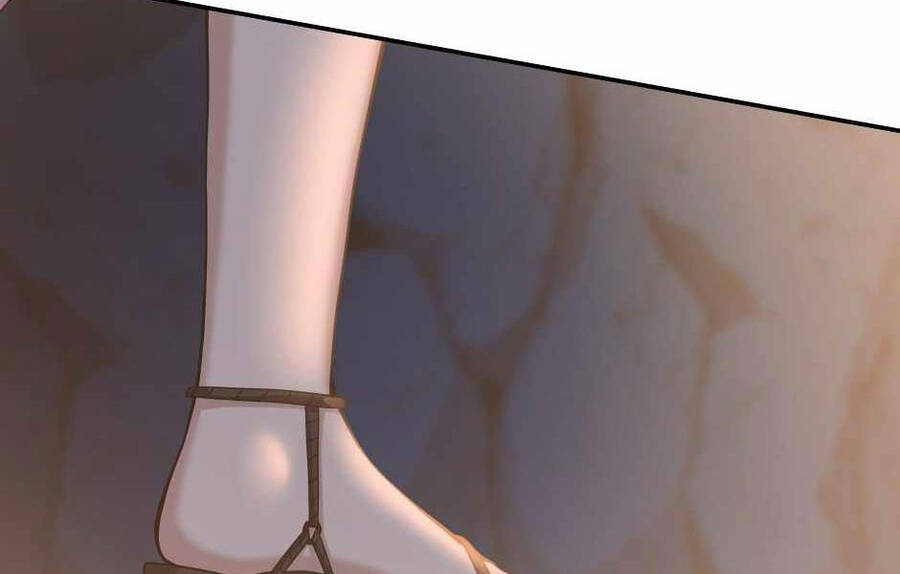 Ánh Sáng Cuối Con Đường - Chương 130