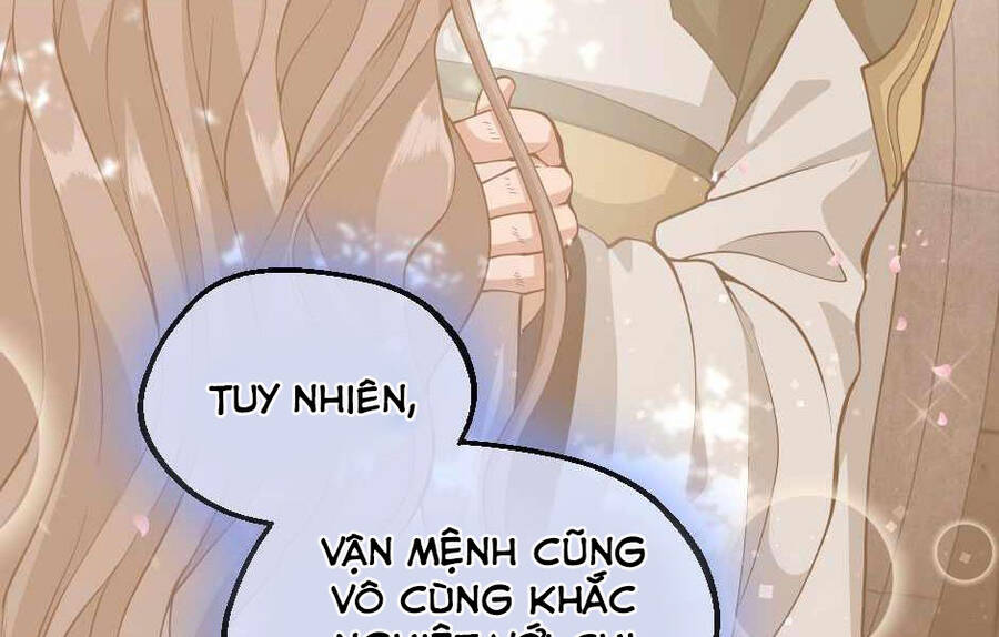 Ánh Sáng Cuối Con Đường - Chương 131