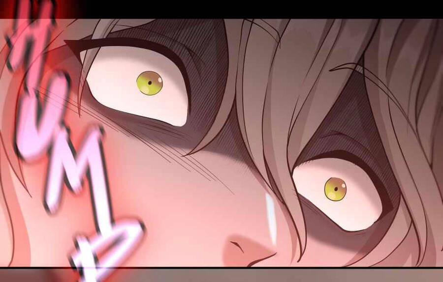 Ánh Sáng Cuối Con Đường - Chương 132