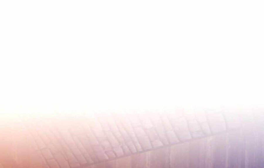 Ánh Sáng Cuối Con Đường - Chương 132