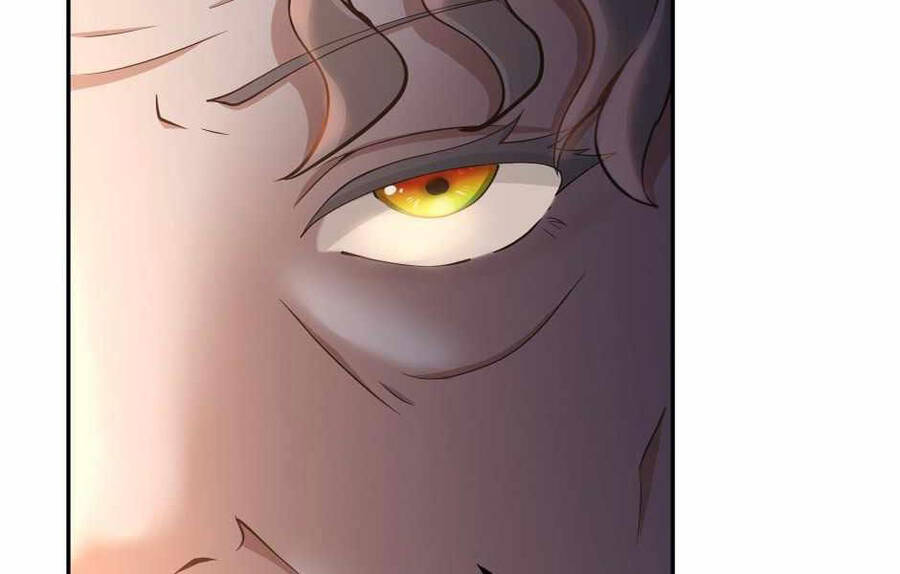 Ánh Sáng Cuối Con Đường - Chương 132