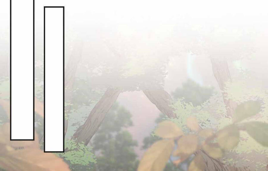 Ánh Sáng Cuối Con Đường - Chương 133