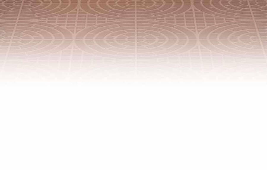 Ánh Sáng Cuối Con Đường - Chương 133