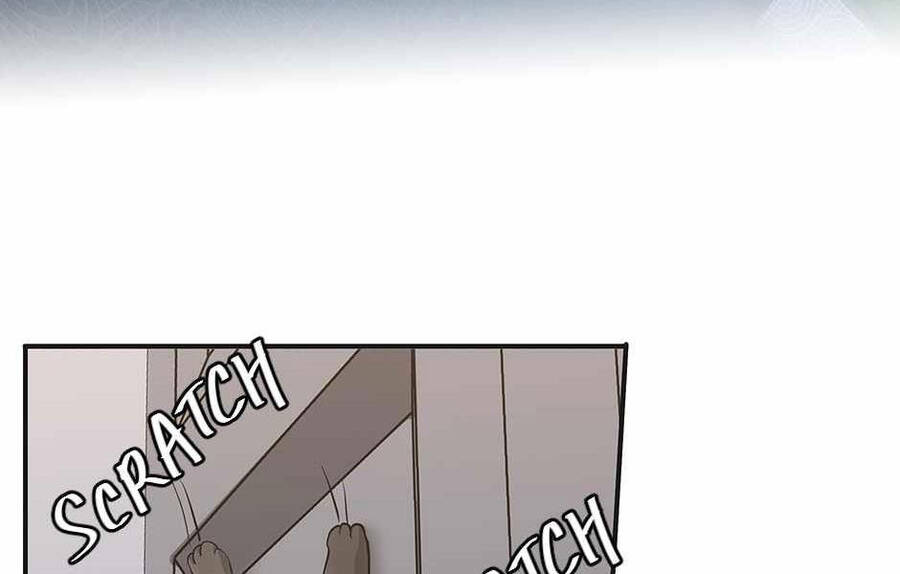 Ánh Sáng Cuối Con Đường - Chương 133