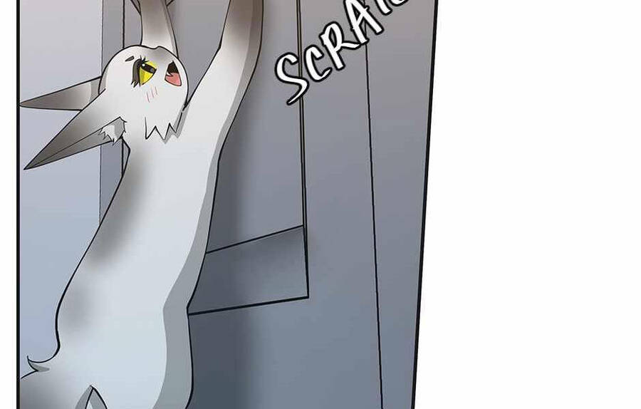 Ánh Sáng Cuối Con Đường - Chương 133