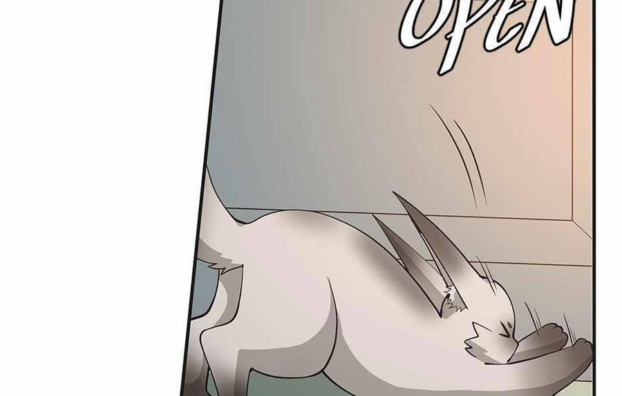 Ánh Sáng Cuối Con Đường - Chương 133