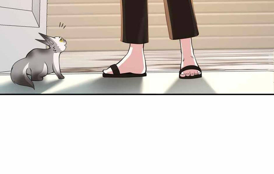 Ánh Sáng Cuối Con Đường - Chương 133