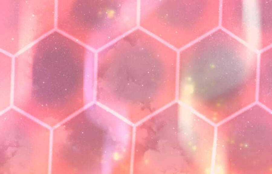 Ánh Sáng Cuối Con Đường - Chương 134