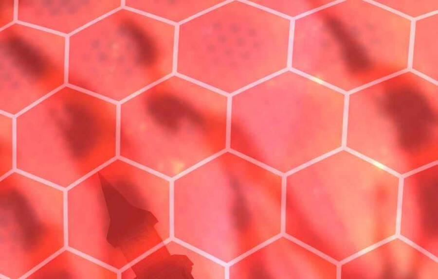 Ánh Sáng Cuối Con Đường - Chương 136