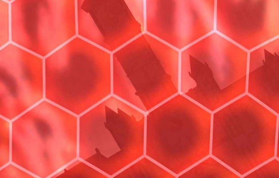 Ánh Sáng Cuối Con Đường - Chương 136