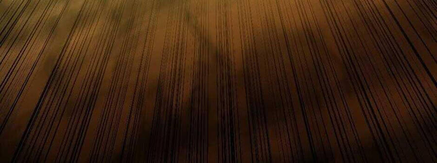 Ánh Sáng Cuối Con Đường - Chương 140