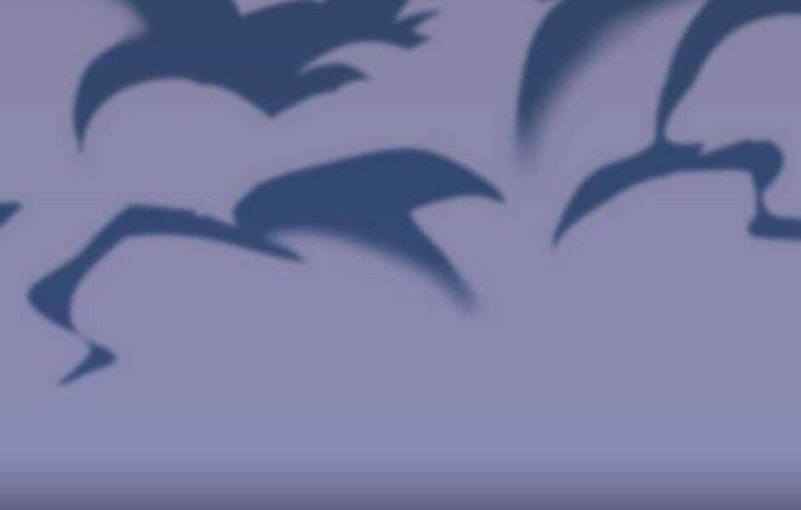 Ánh Sáng Cuối Con Đường - Chương 140