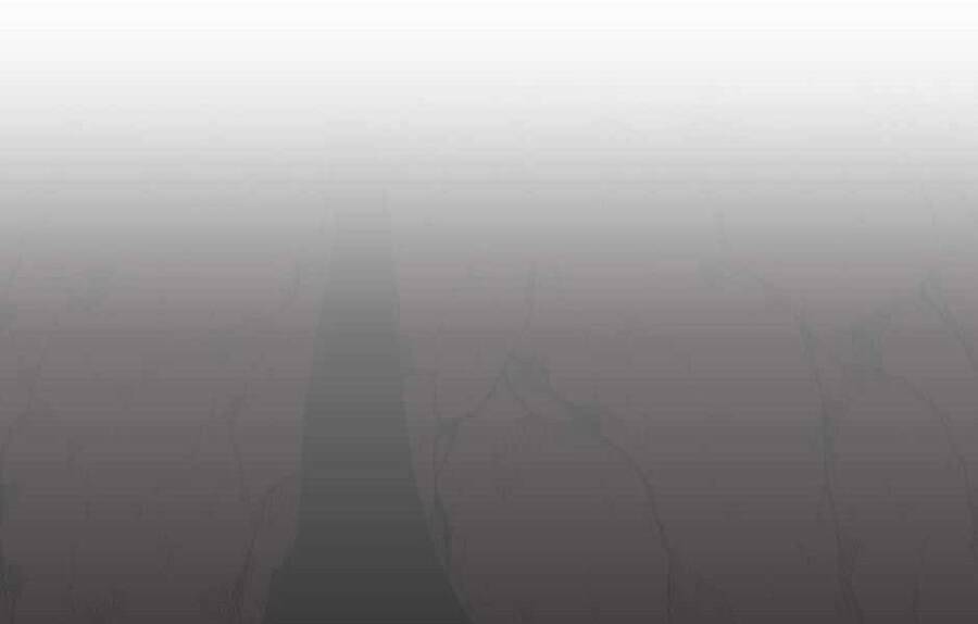 Ánh Sáng Cuối Con Đường - Chương 143