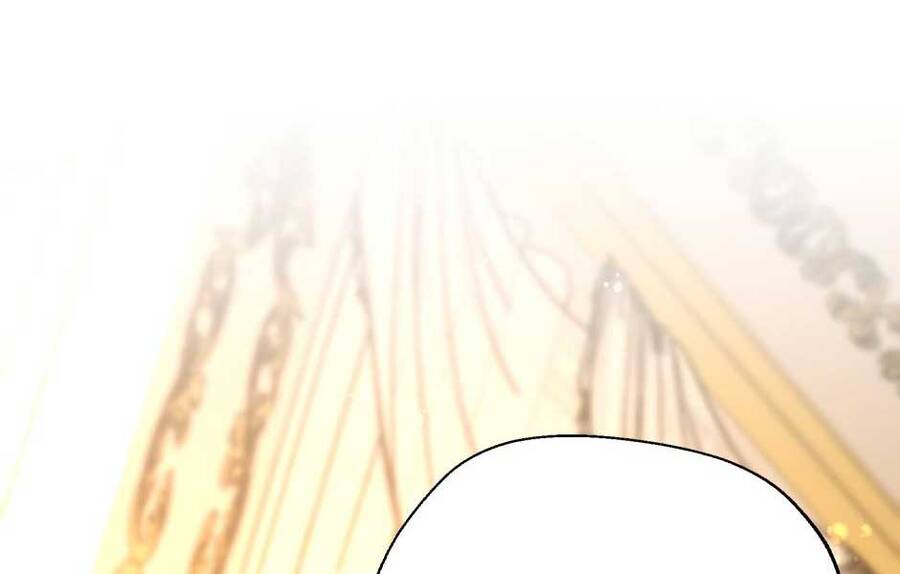 Ánh Sáng Cuối Con Đường - Chương 146