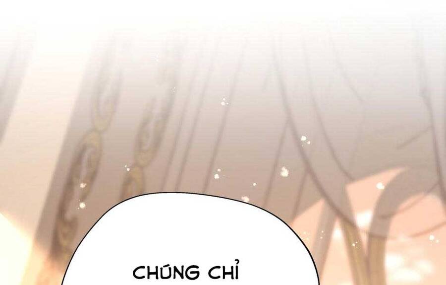 Ánh Sáng Cuối Con Đường - Chương 146