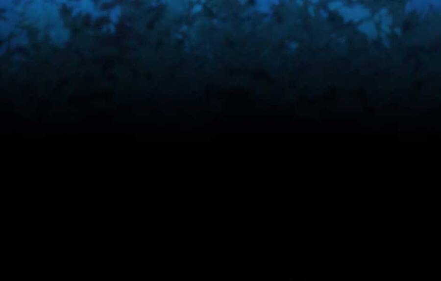 Ánh Sáng Cuối Con Đường - Chương 148