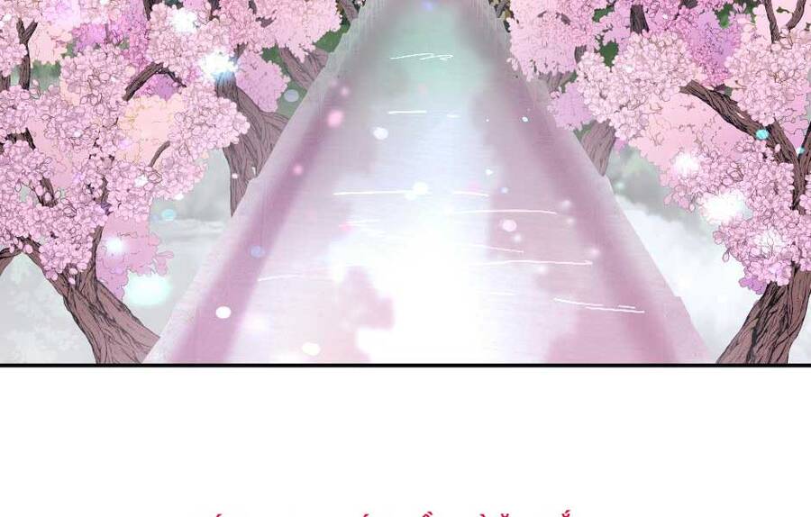 Ánh Sáng Cuối Con Đường - Chương 151