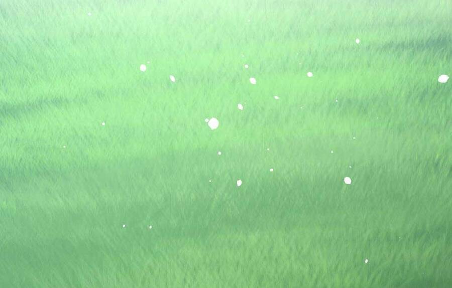 Ánh Sáng Cuối Con Đường - Chương 154