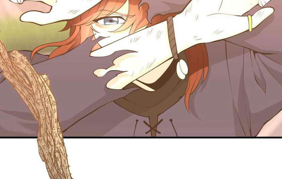 Ánh Sáng Cuối Con Đường - Chương 123