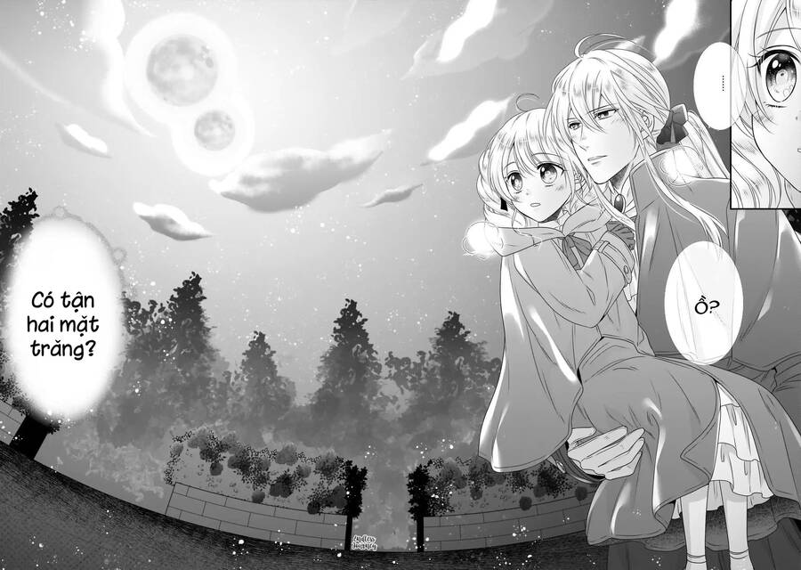 Nàng Lọ Lem Giả Mạo - Chương 8