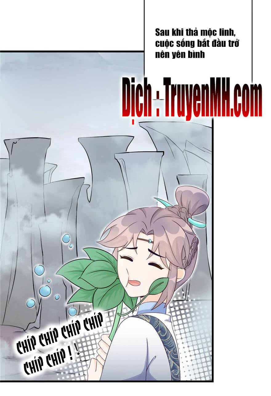 Đồ Đệ Nhà Ta Lại Quải Rồi - Chương 139