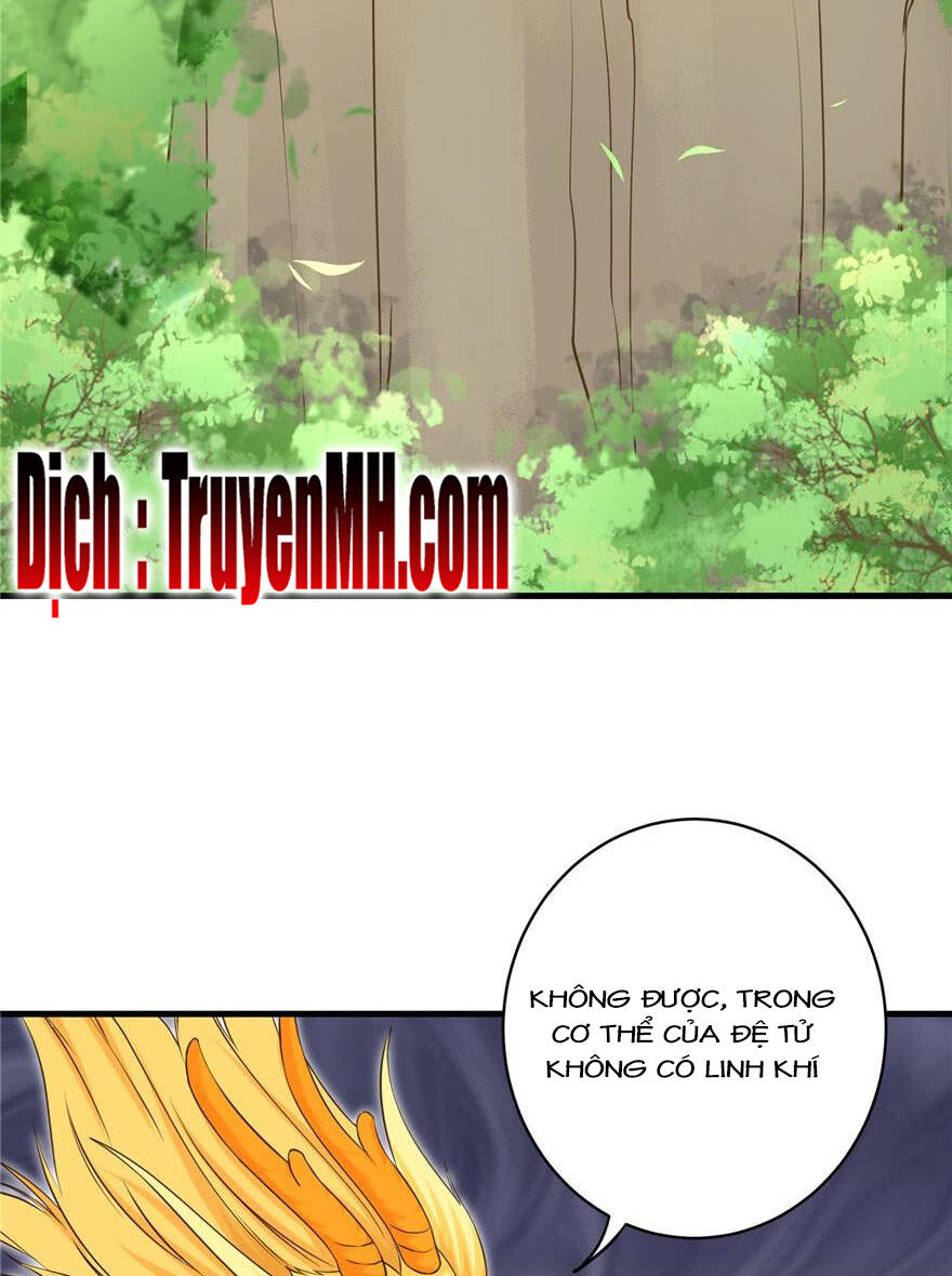 Đồ Đệ Nhà Ta Lại Quải Rồi - Chương 156