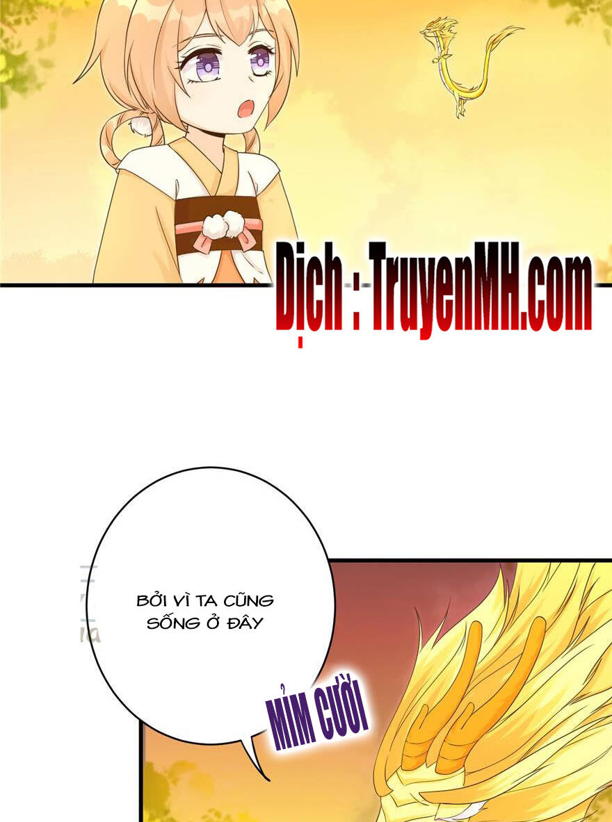 Đồ Đệ Nhà Ta Lại Quải Rồi - Chương 158